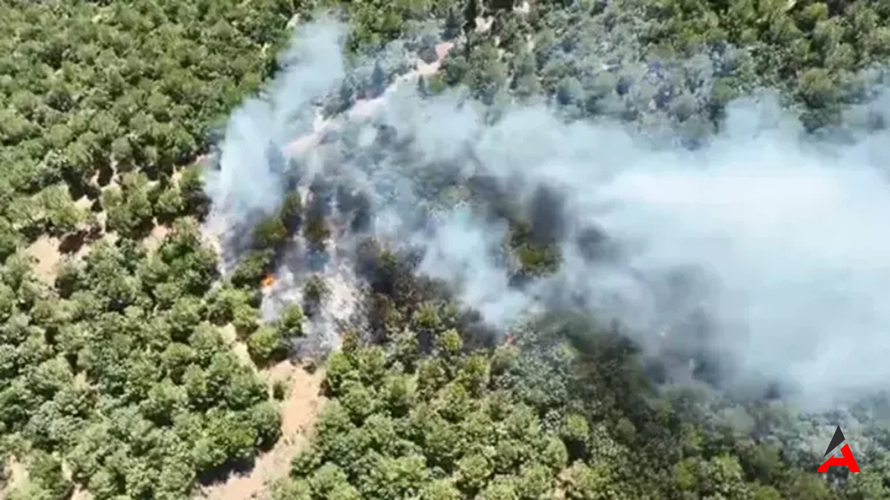 Çanakkale Bayramiç'te Orman Yangını