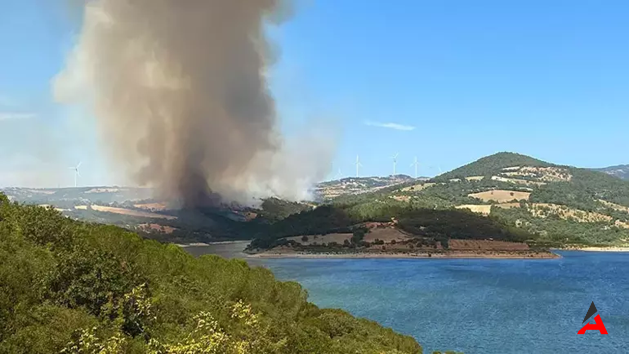 İzmir Ve Çanakkale'de Orman Yangını Müdahale Sürüyor1