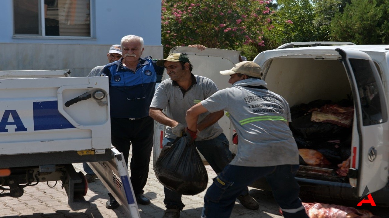 Adana'da 1,5 Ton Tek Tırnaklı Hayvan Eti Ele Geçirildi1