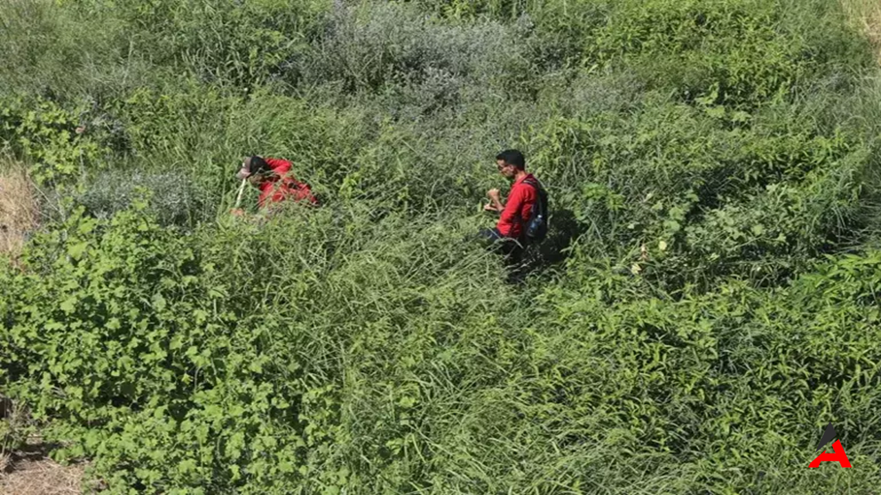 Diyarbakır’da 8 Yaşındaki Narin Güran İçin Arama Çalışmaları Sürüyor