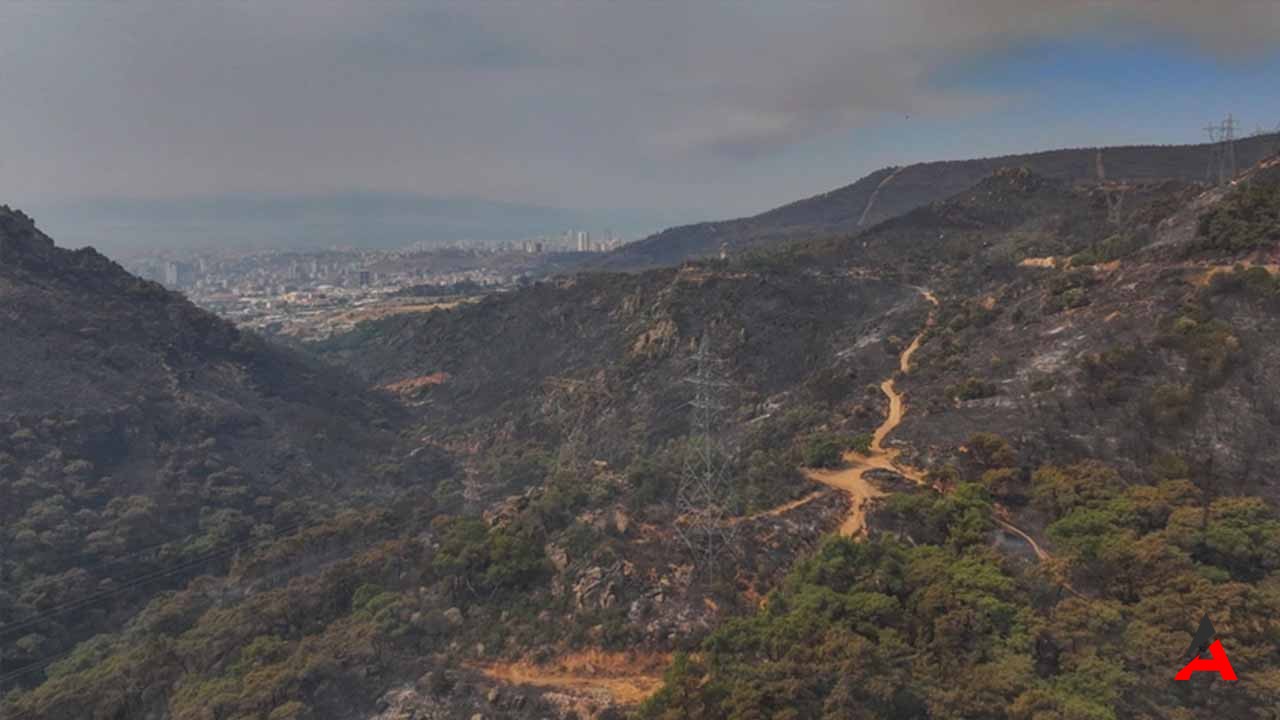 İzmir Karşıyaka'da Çıkan Orman Yangını