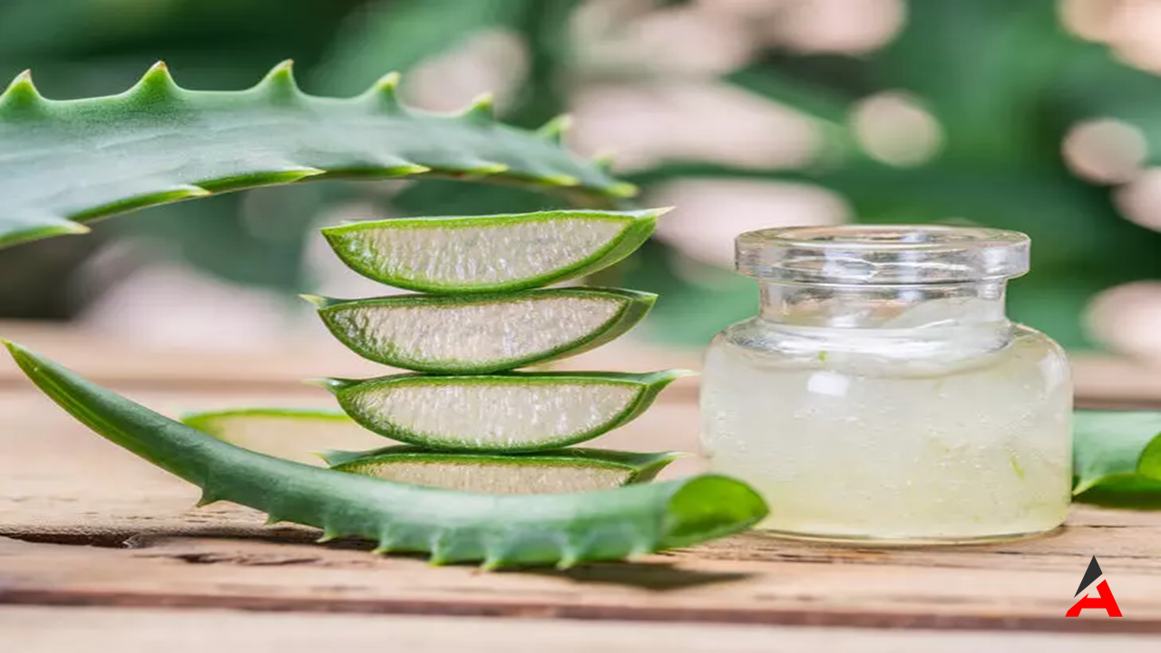 Aloe Vera Ve Yeşil Çay