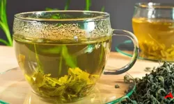 Kilo Vermenin Doğal Sırrı: Metabolizmayı Canlandıran ve İştahı Düzenleyen Bitki Çayları!