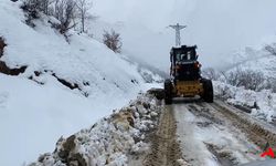 Şırnak'ta Kış Felaketi Köyler Kar Altında, Elektrik Kesintisi ve Eğitim Durdu