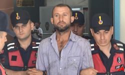Bursa'da Adalet "Orman Sevdalısı"na Hapis Cezası