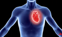Kalp Sıkışması: Nedenleri ve Önleme Yolları