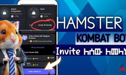 Hamster Kombat 5 Ağustos Günlük Şifreleri