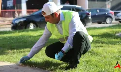 Bolu'da Çöp Atana Rekor Ceza: 14 Bin Liraya Kadar!