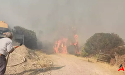 Çanakkale Ayvacık'ta Orman Yangını: Ekipler Havadan ve Karadan Müdahale Ediyor