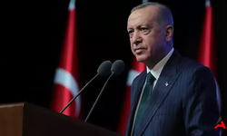 Cumhurbaşkanı Erdoğan'dan TBMM'ye Övgü: Sahipsiz Hayvanlar İçin Kritik Yasa Geçti!