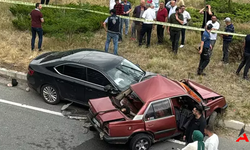 Gümüşhane'de Feci Kaza: Yaşlı Çift Hayatını Kaybetti, Torunları Yaralandı