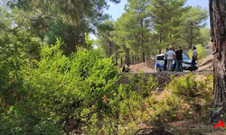 Fethiye Ormanında Şok: 1 Günlük Bebek Kundakta Bulundu!