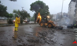 Giresun'da Şiddetli Yağış Hayatı Felç Etti: Yollar Dereye Döndü, Araçlar ve İş Yerleri Sular Altında