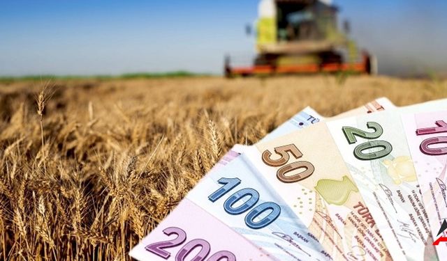 Tarım Bakanlığı'ndan Çiftçilere 694 Milyon TL Destek Ödemesi