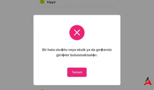 TEV Burs Başvurusu Neden Hata Veriyor? Adım Adım Sorun Giderme Rehberi