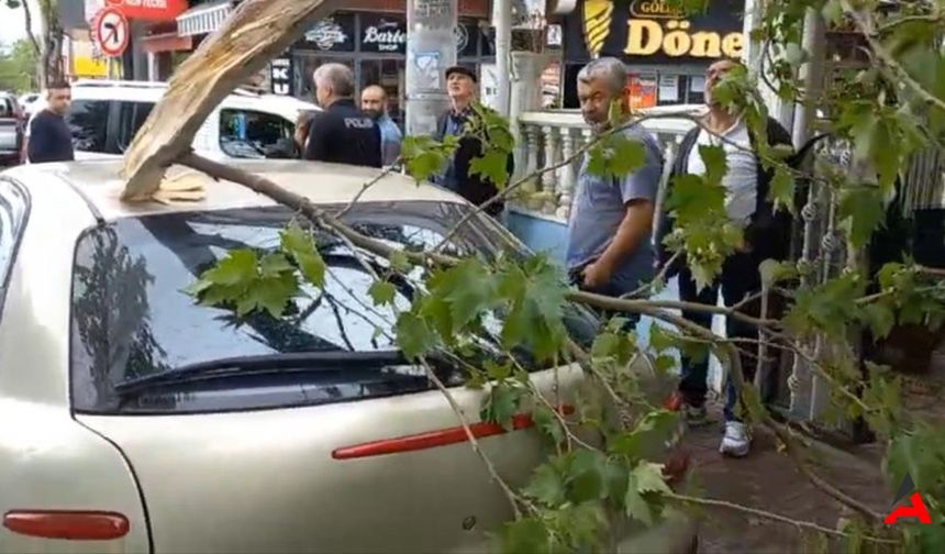 Rüzgarın Gücü Bursa'da! Ağaç Dalı Arabanın Üzerine Devrildi