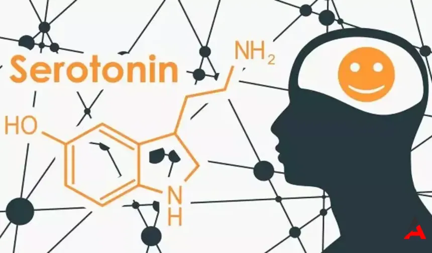 Serotonin ve Melatonin: Mutluluk ve İyi Uykunun Hormonları Nasıl Artırılır?