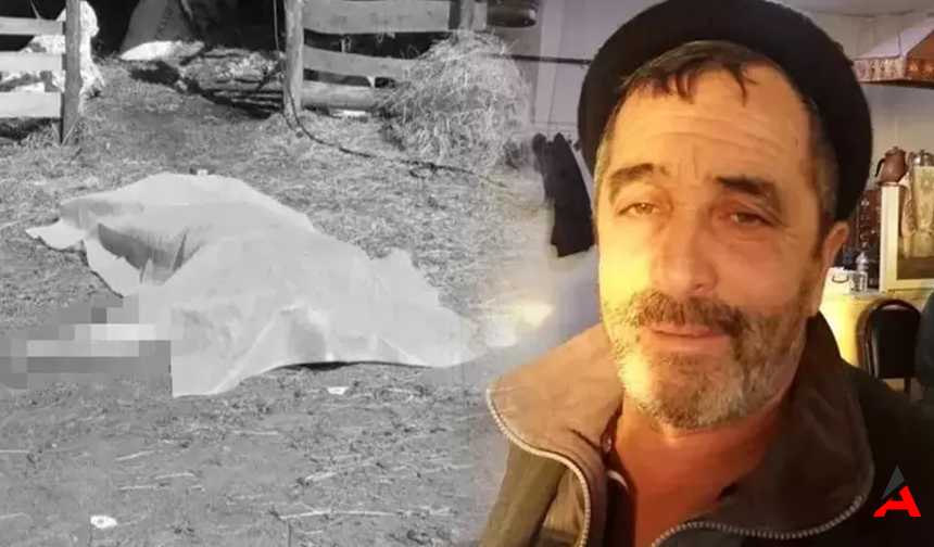 Koyun Kırkarken Elektrik Çarpmasıyla Hayatını Kaybetti