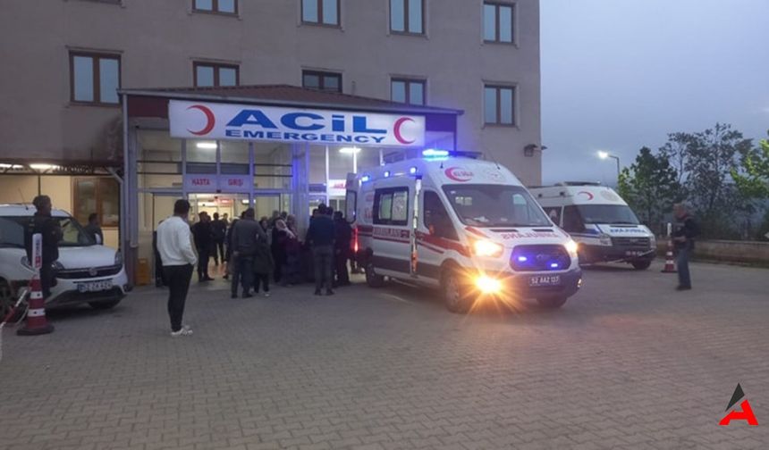Ordu Gölköy'de Telefon Direği Devrilen Çocuk Yaralandı