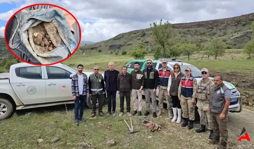 Tunceli'de Biyolojik Kaçakçılara Sert Darbe: 10 Kişiye Rekor Ceza Kesildi!