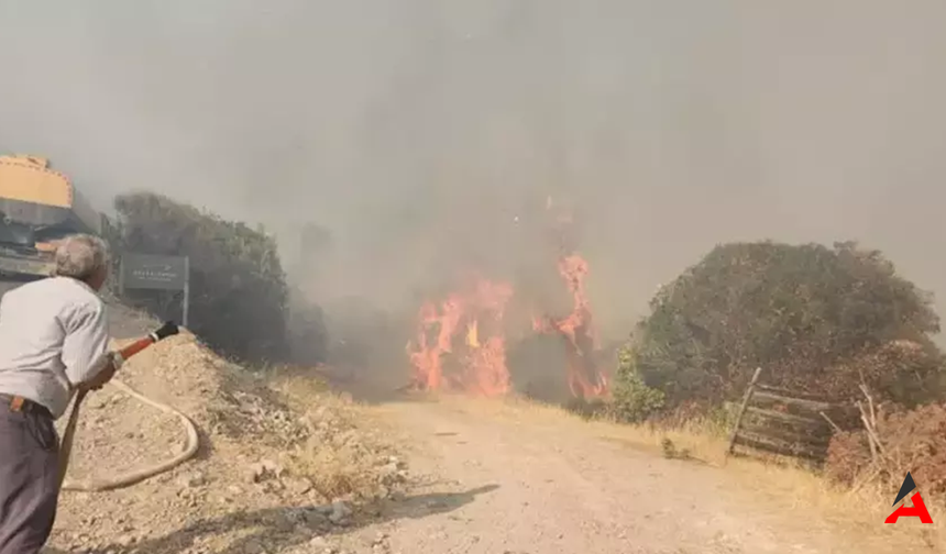 Çanakkale Ayvacık'ta Orman Yangını: Ekipler Havadan ve Karadan Müdahale Ediyor