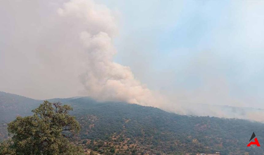 Manisa’da Orman Yangını: Alevlere Havadan ve Karadan Müdahale Devam Ediyor