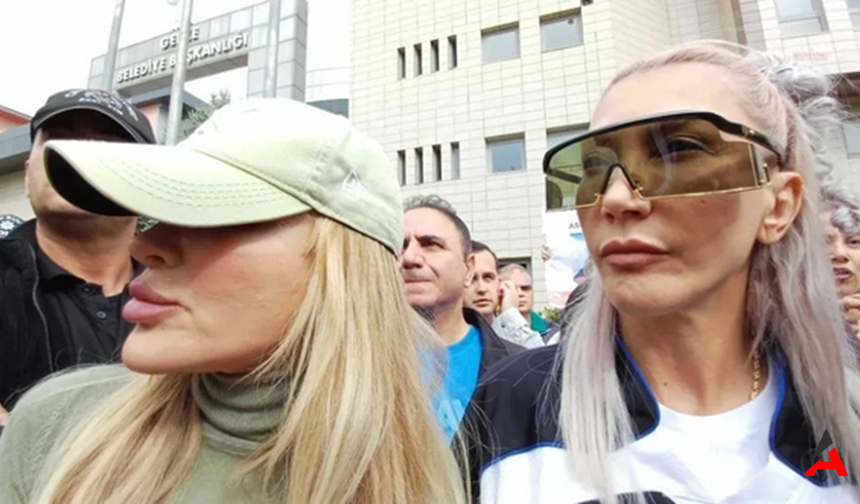 Gebze’de Sokak Hayvanları Katliamına Tepki: Hande Yener’den Sert Çıkış!